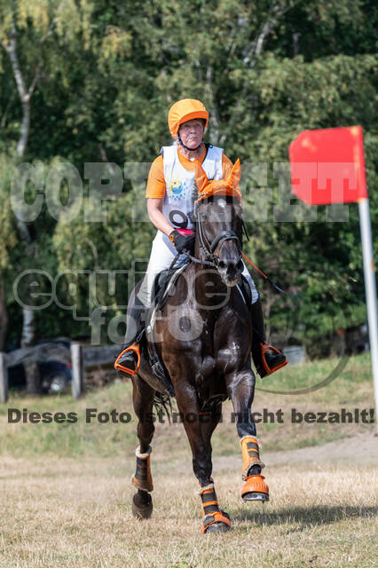 Late-Entry Vielseitigkeit Hamminkeln/Wesel (01.+02.08.2020)