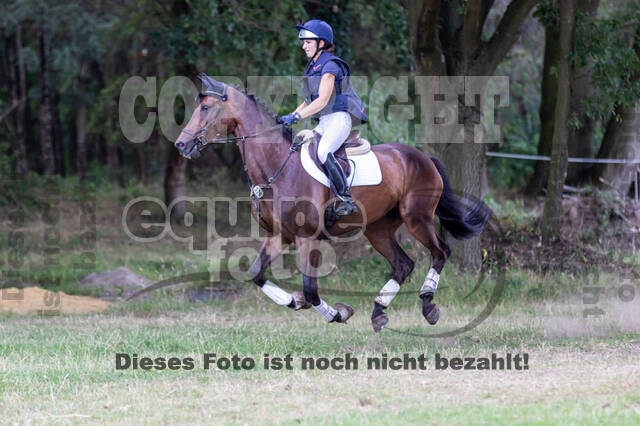 Late-Entry Vielseitigkeit Hamminkeln/Wesel (01.+02.08.2020)