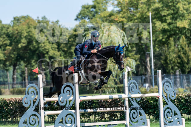 Kronenberg - De Peelbergen (August 2020)