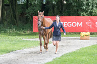 FEI European Championship Eventing 2017