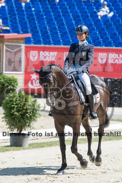 FEI European Championship
