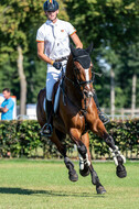 Kronenberg - De Peelbergen (August 2020)