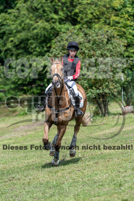 Goldene Schärpe 2021 - Ponys