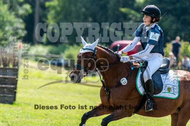 Goldene Schärpe 2021 - Ponys