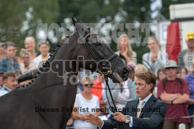 FEI European Championship Eventing 2019
