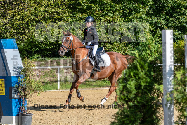 RFV Dinslaken-Hiesfeld (Herbstturnier)