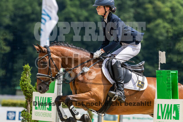 Goldene Schärpe 2021 - Ponys