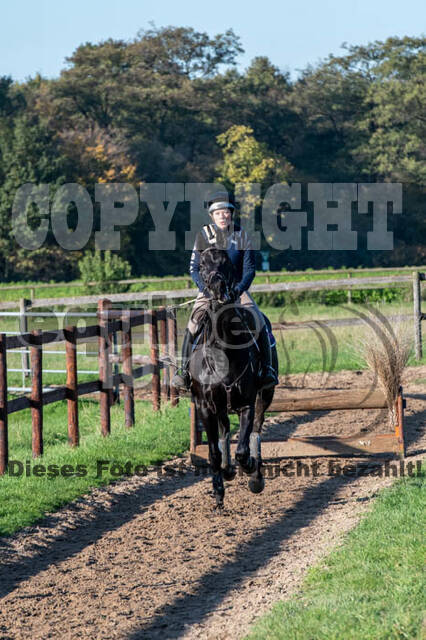 Vielseitigkeitslehrgang mit Jürg Kurbel (9.+10.11.2019)
