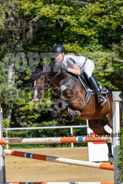 RFV Dinslaken-Hiesfeld (Herbstturnier)