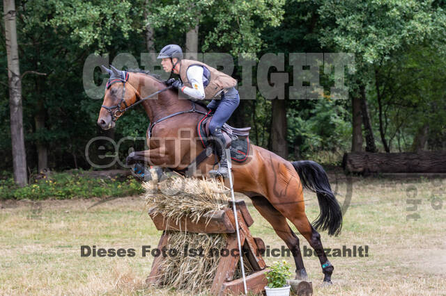 Late-Entry Vielseitigkeit Hamminkeln/Wesel (01.+02.08.2020)