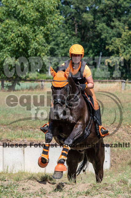 Hunter Geländetraining (16.08.2020)