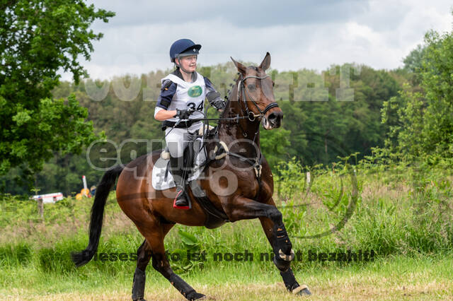 Westerstede Horse Trials 2021