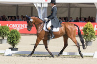 FEI European Championship Eventing 2017