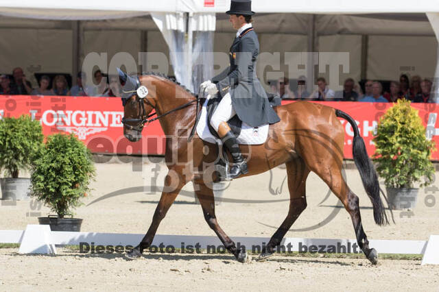 FEI European Championship Eventing 2017