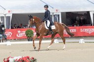 FEI European Championship Eventing 2017