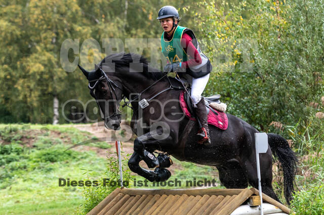 Vielseitigkeit RSV Wesel Obrighoven (26.+27.09.2020)