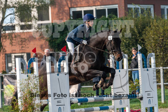 Goldene Schärpe 2020 - Pferde