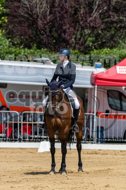 Westerstede Horse Trials 2021