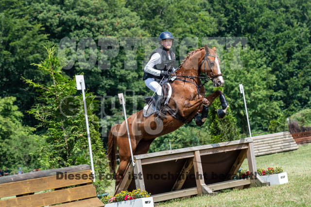 Goldene Schärpe 2021 - Ponys