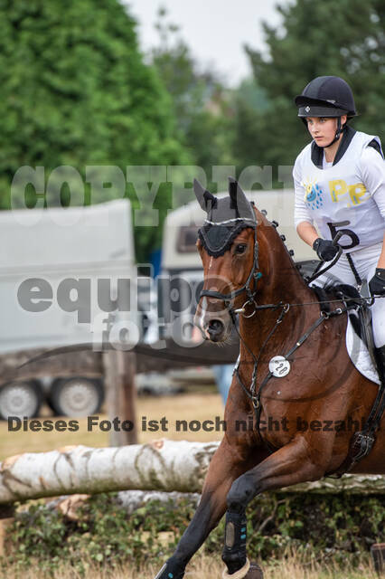 Late-Entry Vielseitigkeit Hamminkeln/Wesel (01.+02.08.2020)