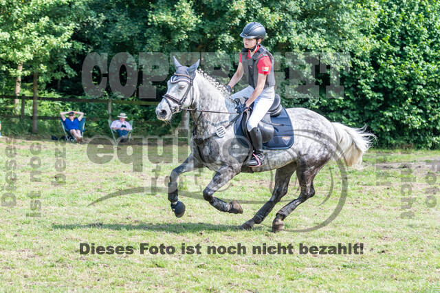 Goldene Schärpe 2021 - Ponys