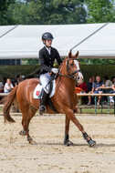 Goldene Schärpe 2021 - Ponys