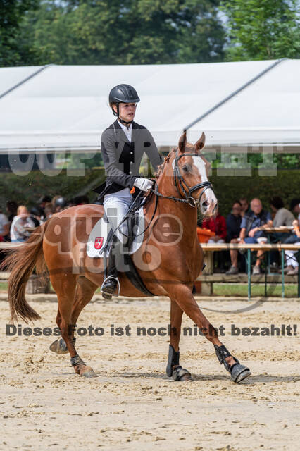 Goldene Schärpe 2021 - Ponys