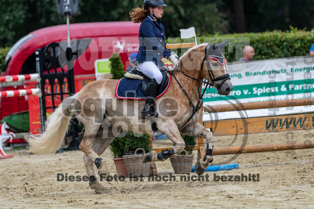Goldene Schärpe 2021 - Ponys