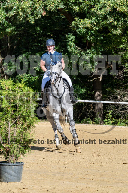 RFV Dinslaken-Hiesfeld (Herbstturnier)