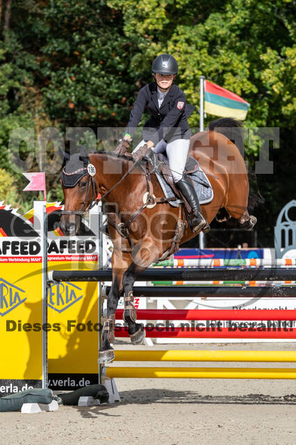 Deutsche Meisterschaft Vielseitigkeit (Luhmühlen)