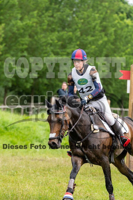 Westerstede Horse Trials 2021