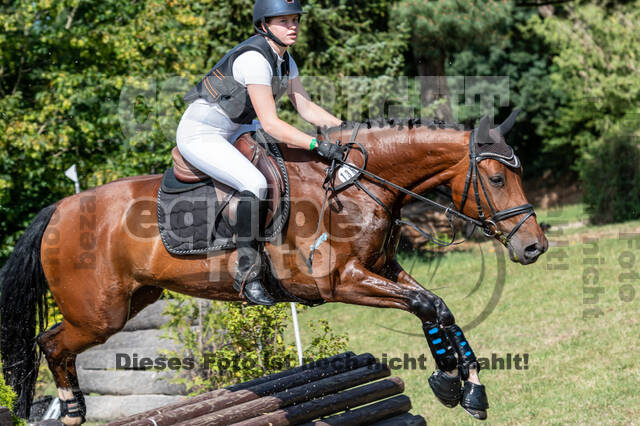 Late-Entry-Vielseitigkeit Langenfeld (11.+13./14.06.2020)