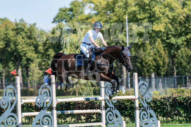 Kronenberg - De Peelbergen (August 2020)