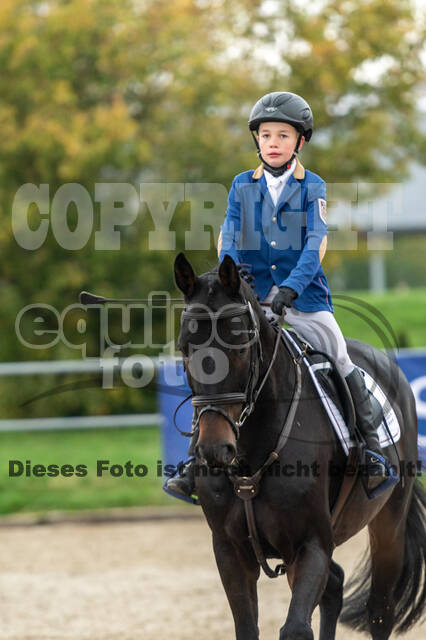 Goldene Schärpe 2020 - Pferde