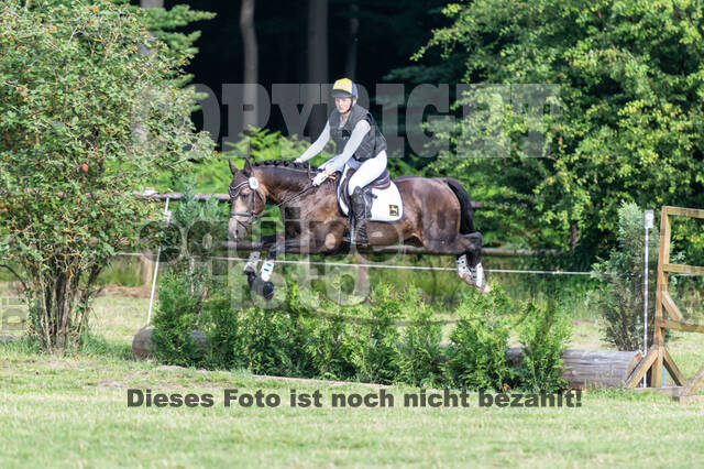 Goldene Schärpe 2021 - Ponys