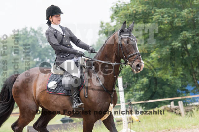 Vielseitigkeitsturnier Bad Honnef