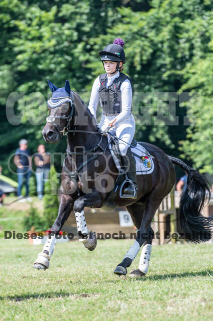 Goldene Schärpe 2021 - Ponys