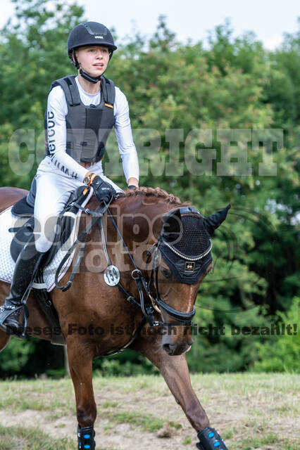 Goldene Schärpe 2021 - Ponys