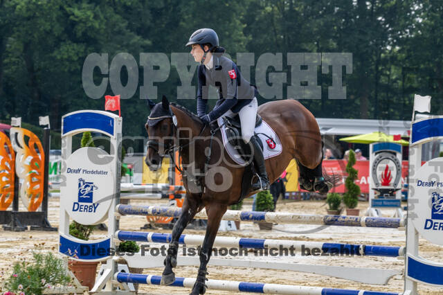Goldene Schärpe 2021 - Ponys