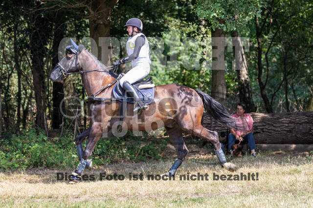 Late-Entry Vielseitigkeit Hamminkeln/Wesel (01.+02.08.2020)