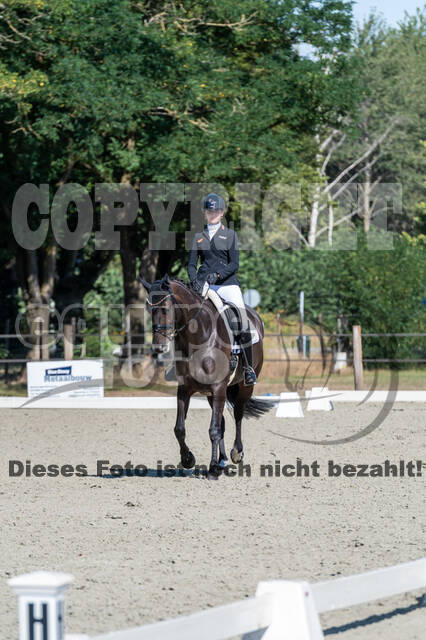 Kronenberg - De Peelbergen (August 2020)