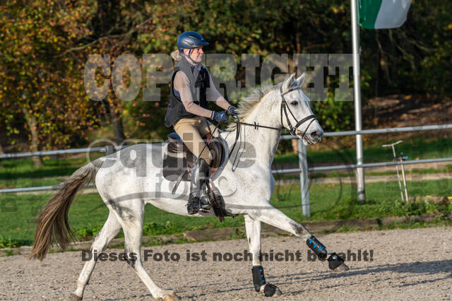 IGV Lehrgang der Sieger der Cups mit Frank Ostholt