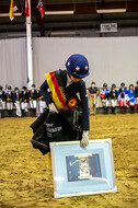 Goldene Schärpe 2021 - Ponys