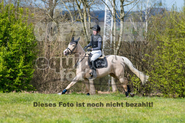 Lena Wiegmann , Vogy's Dream CR 3