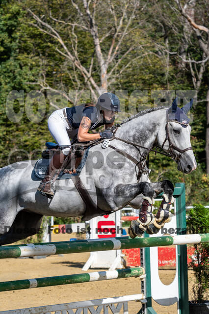 RFV Dinslaken-Hiesfeld (Herbstturnier)