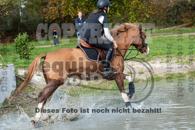 IGV Lehrgang der Sieger der Cups mit Frank Ostholt