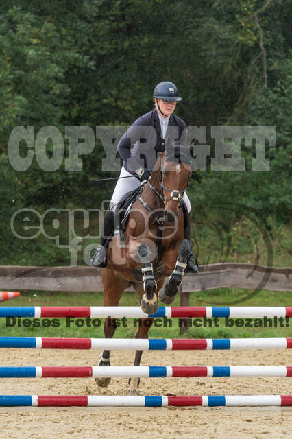 Vielseitigkeit RSV Wesel Obrighoven (26.+27.09.2020)