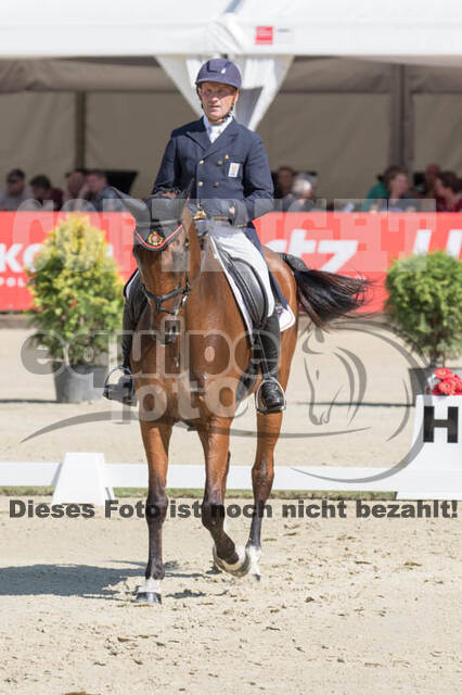 FEI European Championship Eventing 2017