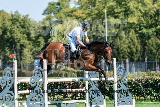 Kronenberg - De Peelbergen (August 2020)