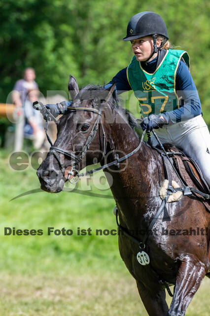 Westerstede Horse Trials (10.-13.06.2021)